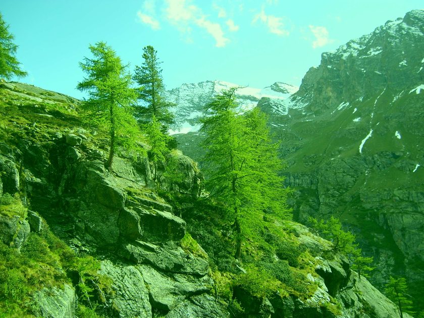 on the way up to Reffugio Vittorio