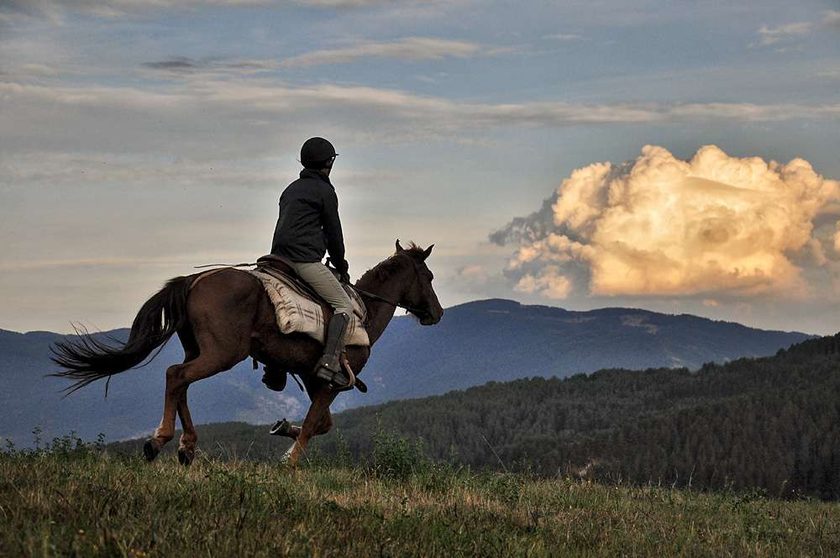HORSE RIDING in the Alps
