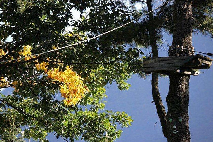 ADVENTURE PARK - THROUGH THE TREES