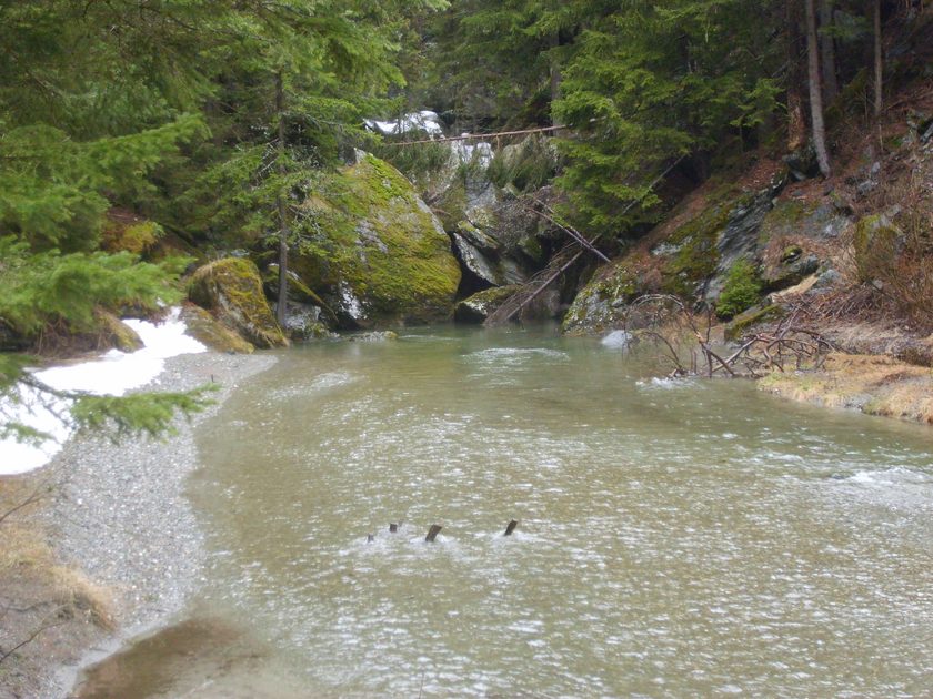 River through Valgrisenche Valley